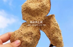 广东新会陈皮是由什么橘子制作成的