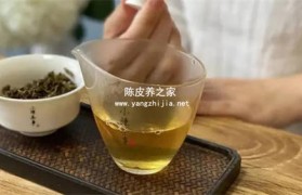 肺寒有痰可以用陈皮和半夏泡水喝吗