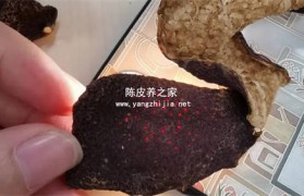 紫苏杆和艾叶生姜陈皮能一起煎水喝吗