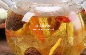 用玉米须和橘皮煮水喝还是陈皮煮水喝好