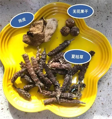 陈皮与夏枯草能一起泡水喝吗  3