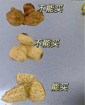 陈皮内囊白色和黄色哪个好  3